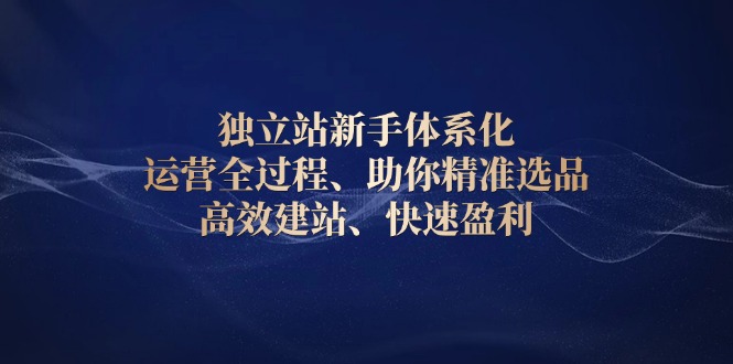 （13914期）独立站新手体系化 运营全过程，助你精准选品、高效建站、快速盈利-资源鲟