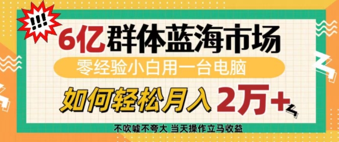 6亿群体蓝海市场，零经验小白用一台电脑，如何轻松月入过w【揭秘】-资源鲟