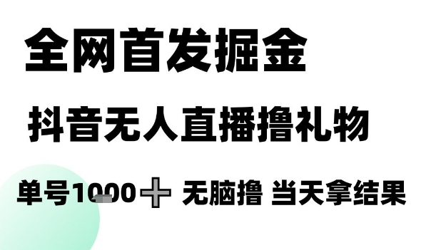 全网首发掘金抖音无人直播撸礼物，单号1k +无脑撸，当天拿结果【揭秘】-资源鲟