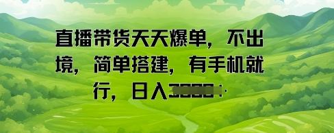 直播带货天天爆单，不出境，简单搭建，有手机就行，日入多张-资源鲟