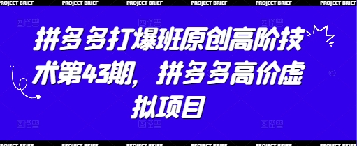 拼多多打爆班原创高阶技术第43期，拼多多高价虚拟项目-资源鲟