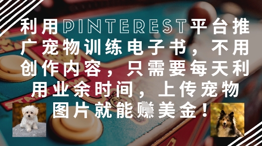 利用Pinterest平台推广宠物训练电子书，不用创作内容，只需要每天利用业余时间，上传宠物图片就能挣美金!-资源鲟