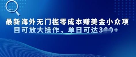 最新海外无门槛美金小众项目可放大操作，单日可达3张-资源鲟