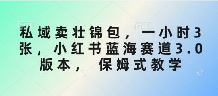 私域卖壮锦包，一小时3张，小红书蓝海赛道3.0版本， 保姆式教学-资源鲟