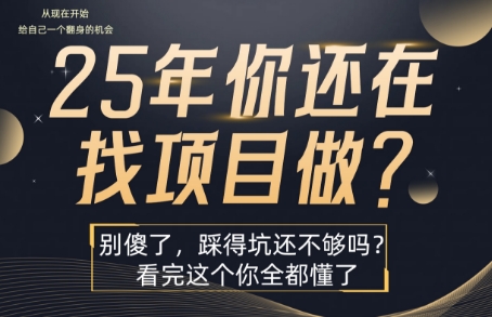 25年，你还在疯狂的找项目吗？别傻了，看完这个你都懂了【揭秘】-资源鲟