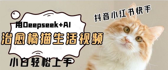 疯狂火爆，用Deepseek+AI做治愈橘猫系列视频，小白轻松制作+快速拿到结果-资源鲟