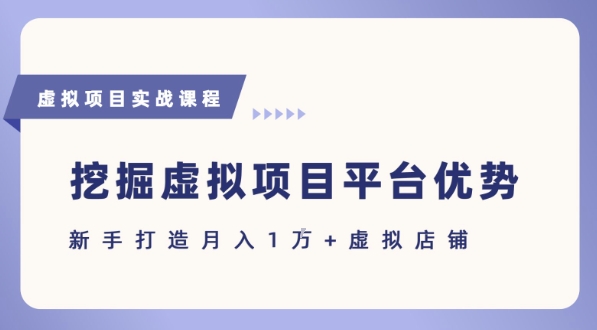 抓住虚拟项目各平台优势，新手轻松月入1W+(给出具体建议)-资源鲟