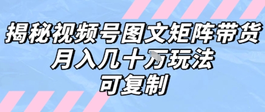 解密视频号图文矩阵带货，月入几个W的打法，可复制-资源鲟