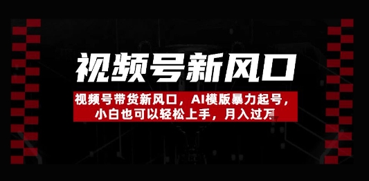 视频号带货新风口，AI模版暴力起号，小白也可以轻松上手，月入过W-资源鲟