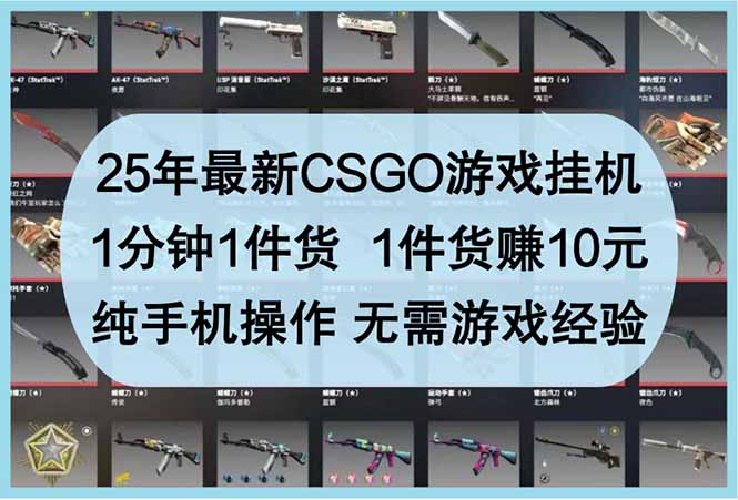 （14439期）25年最新CSGO游戏挂机，1分钟1件货，1件货赚10元 纯手机操作 无需游戏经验-资源鲟