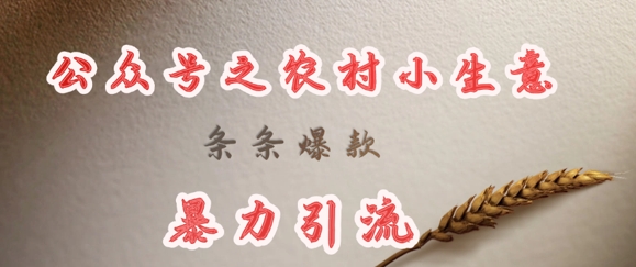 deepseek写农村小项目，条条爆款，暴力引流-资源鲟