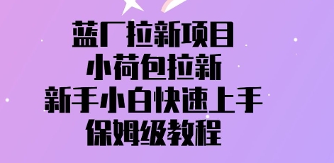 蓝厂拉新项目，小荷包拉新，新手小白快速上手，保姆级教程-资源鲟