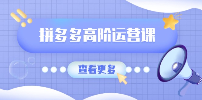 （14327期）拼多多高阶运营课：极致群爆款玩法，轻付费无尽复制，打造单品爆款之路-资源鲟