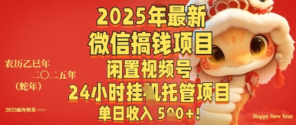 2025年最新微信搞钱项目，闲置视频号年24小时挂G托管项目，单日收入多张-资源鲟