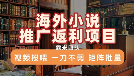 海外小说推广返利项目，视频投喂， 一刀不剪，矩阵批量-资源鲟