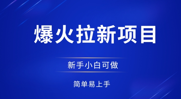 爆火拉新项目，有手就行，小白轻松入门，日入1张拉新整套流程-资源鲟