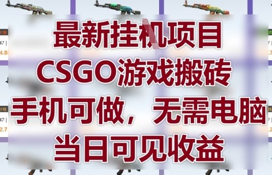 最新挂G项目，CSGO游戏搬砖，手机可做，无需电脑，当日见收益【揭秘】-资源鲟