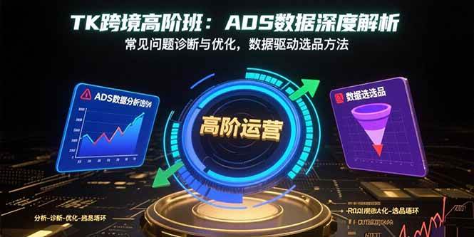 （15809期）TK跨境高阶班：ADS数据深度解析，常见问题诊断与优化，数据驱动选品方法-资源鲟