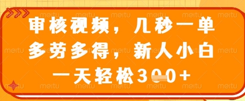 审核视频，几秒一单，多劳多得，新人小白一天轻松3张【揭秘】-资源鲟