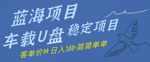 蓝海项目车载U盘稳定项目，挣的就是信息差，客单价99，日入几张简简单单-资源鲟