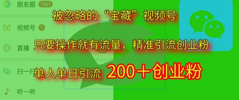 被忽略的“宝藏”视频号引流精准创业粉单人单日引流200+精准粉-资源鲟