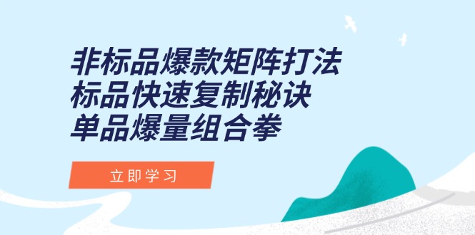 （15068期）非标品爆款矩阵打法，标品快速复制秘诀，单品爆量组合拳-资源鲟