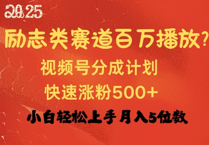 励志类赛道也能百万播放，快速涨粉500+视频号变现月入过W-资源鲟