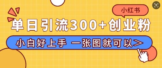 小红书单日引流300+创业粉，“简单粗暴”引流法，小白好上手，私信回不完-资源鲟