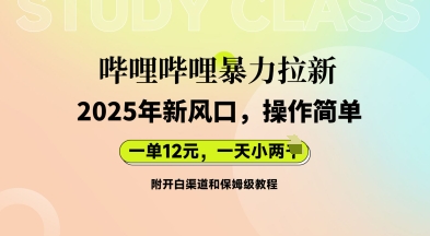 哔哩哔哩暴力拉新：2025年新风口，一单12元，一天数张(附开白渠道和保姆级教程)-资源鲟
