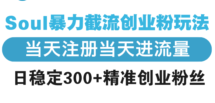 （13935期）Soul暴力截流创业粉玩法，当天注册当天进流量，日稳定300+精准创业粉丝-资源鲟