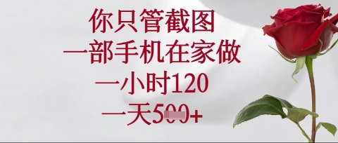 你只管截图，一部手机在家操作，一小时120.一天5张【揭秘】-资源鲟