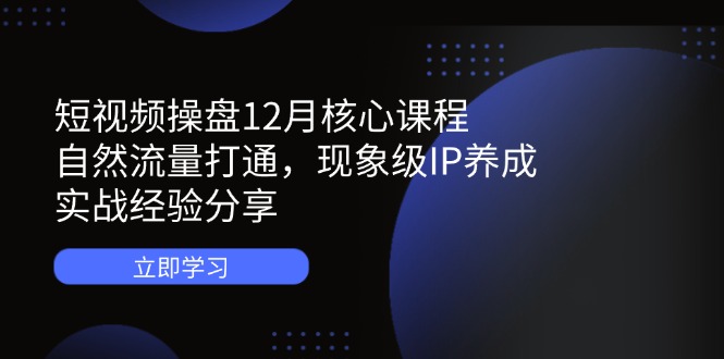 （14447期）短视频操盘12月核心课程：自然流量打通，现象级IP养成，实战经验分享-资源鲟